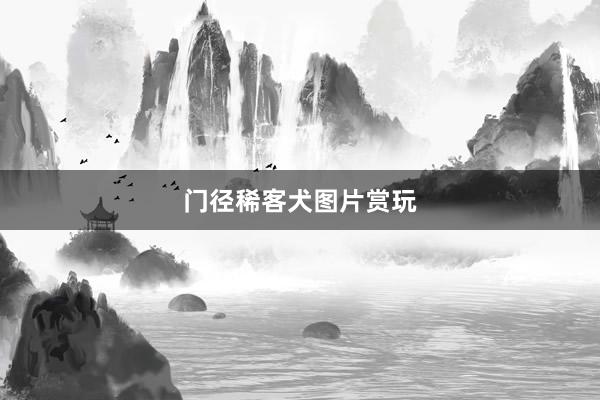 门径稀客犬图片赏玩