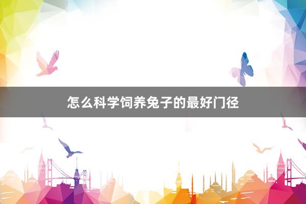 怎么科学饲养兔子的最好门径